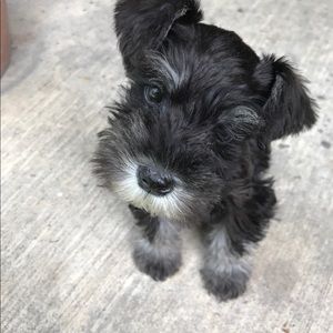 Meet your Posher, Nikki